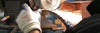 Bandsaw Blades