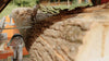 SAWMILL BLADES